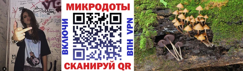 Псилоцибиновые грибы Cubensis  Чёрмоз 